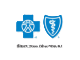 Blue Cross Blue Shield